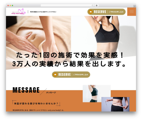 sg076a WordPress theme - only-one-body.com