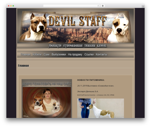 Stripefolio WordPress theme design - devilstaff.ru