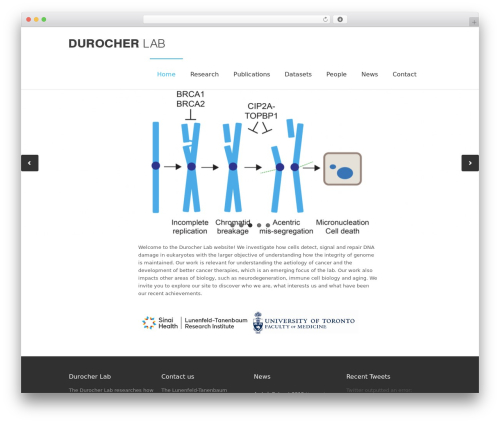 Twitget (twitget) free WordPress plugin - durocherlab.org Twitget (twitget) free WordPress plugin - durocherlab.org