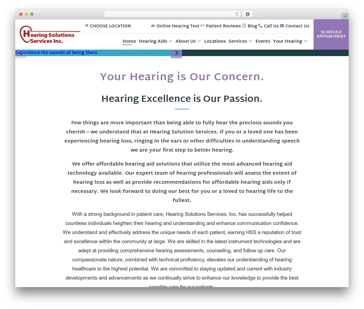 Theme WordPress theme-amn-1 - hearingsolutionswv.com