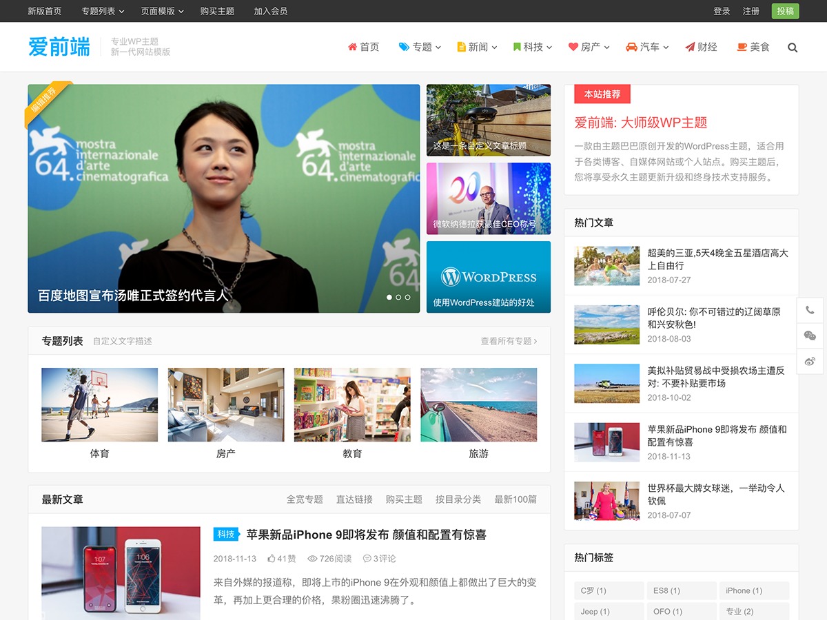 WordPress theme IUX