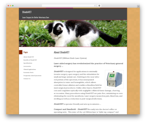 WordPress theme Stripay - diodevet.com