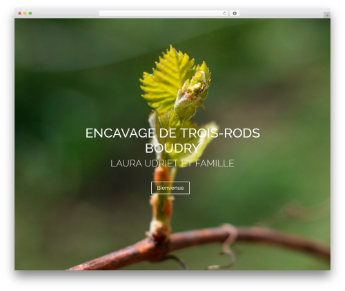 Divi theme WordPress - encavagedetroisrods.ch