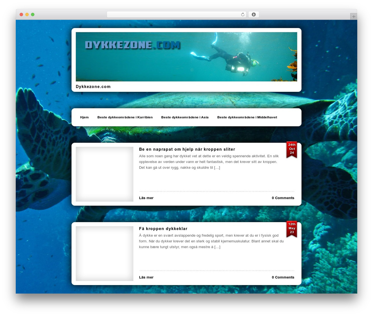 Panels WordPress theme - dykkezone.com