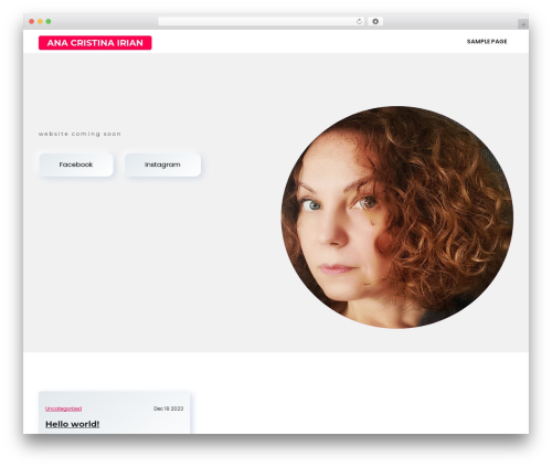 PortfolioX theme WordPress - acirian.com