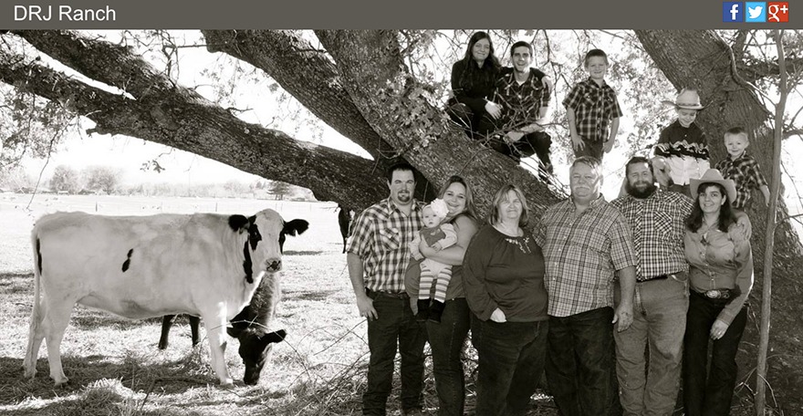 Ranch theme WordPress