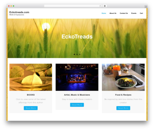 Shuttle WP theme - eckotreads.com