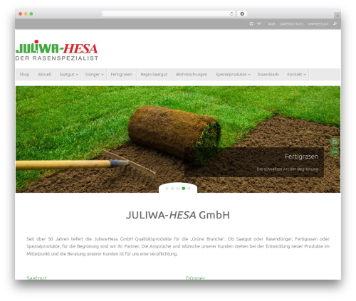 Horizontal Line Styles (horizontal-line-styles) free WordPress plugin - juliwa-hesa.de
