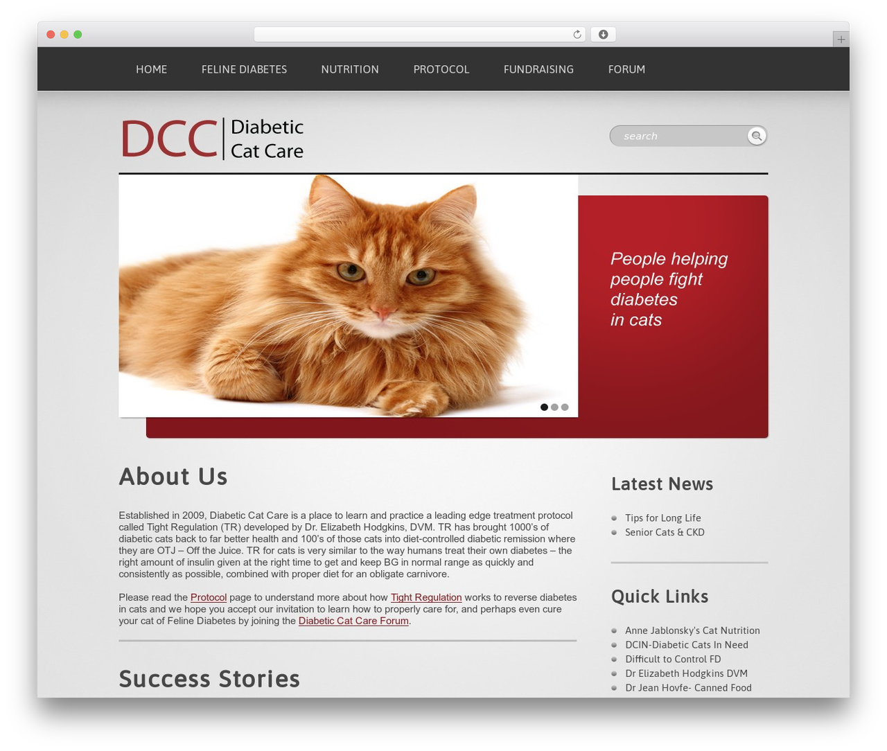 WordPress Theme 1205 WordPress theme design - diabeticcatcare.com