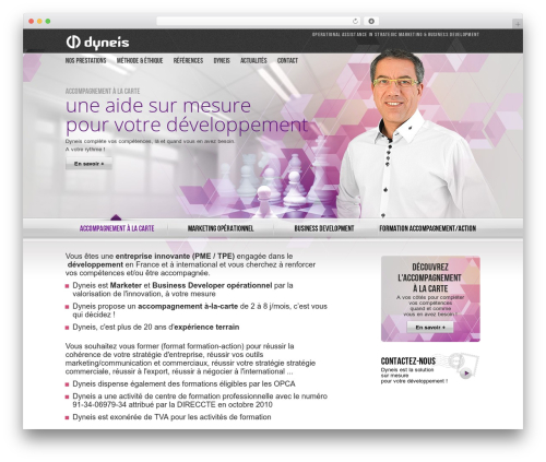 Dyneis WordPress theme - dyneis.com