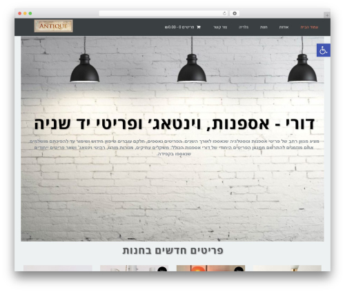 Everest top WordPress theme - dori-asfanut.co.il