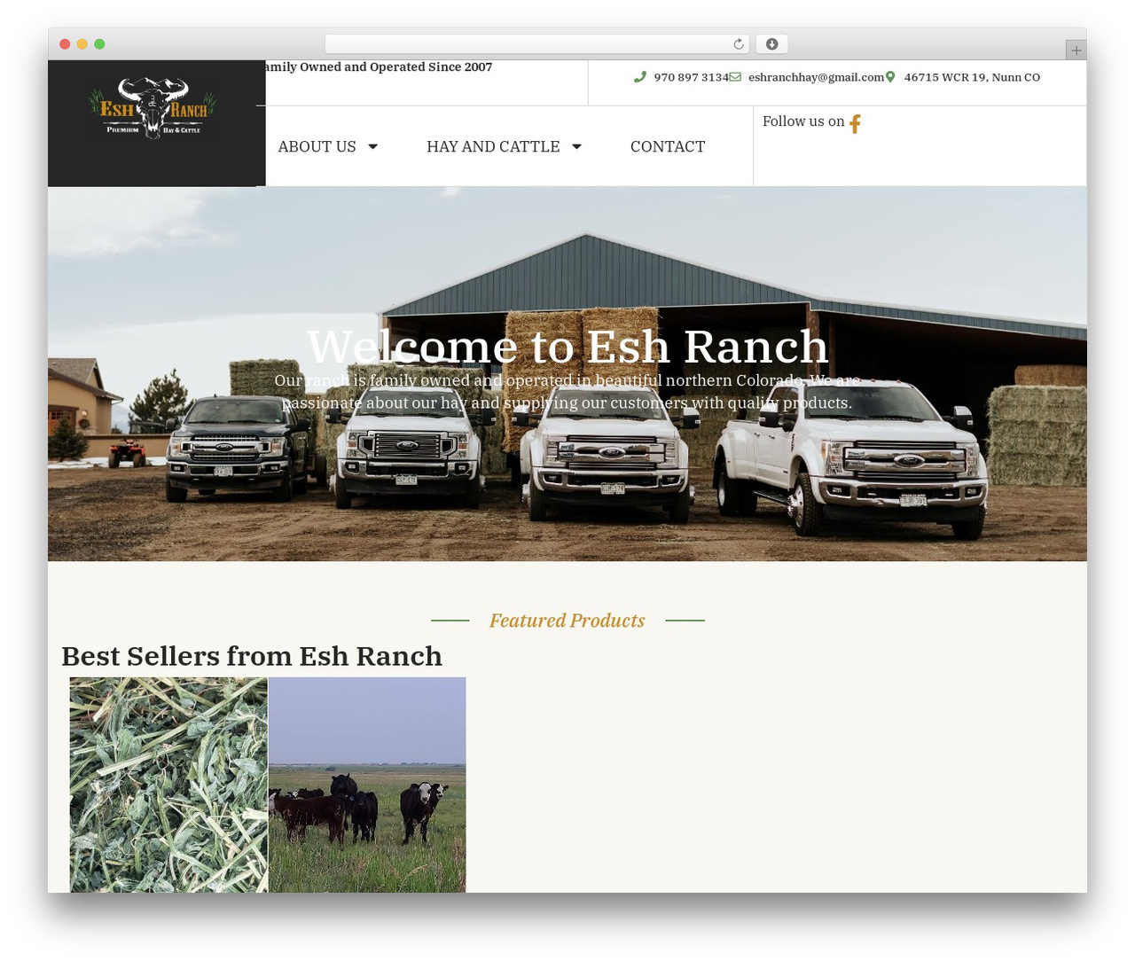WP theme Hello Elementor - eshranch.com WP theme Hello Elementor - eshranch.com