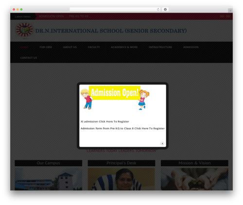 WP theme university | Shared by themes24x7.com - drninternationalschool.com