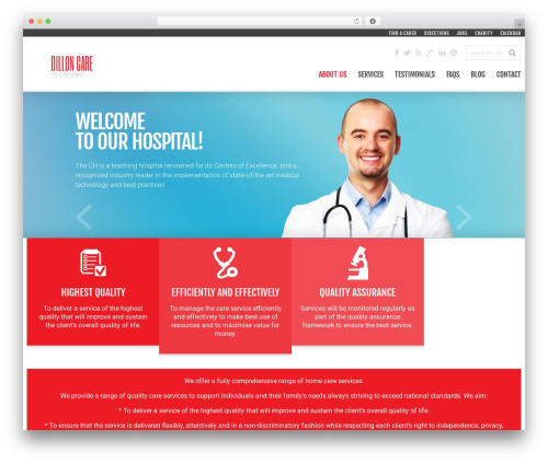 cherry WordPress theme - dilloncare.info
