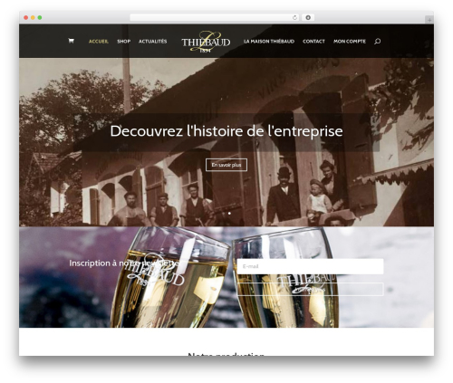 Age verification popup for woocommerce WordPress plugin - thiebaud.ch