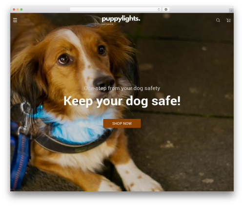 Alids WordPress plugin - puppylights.com