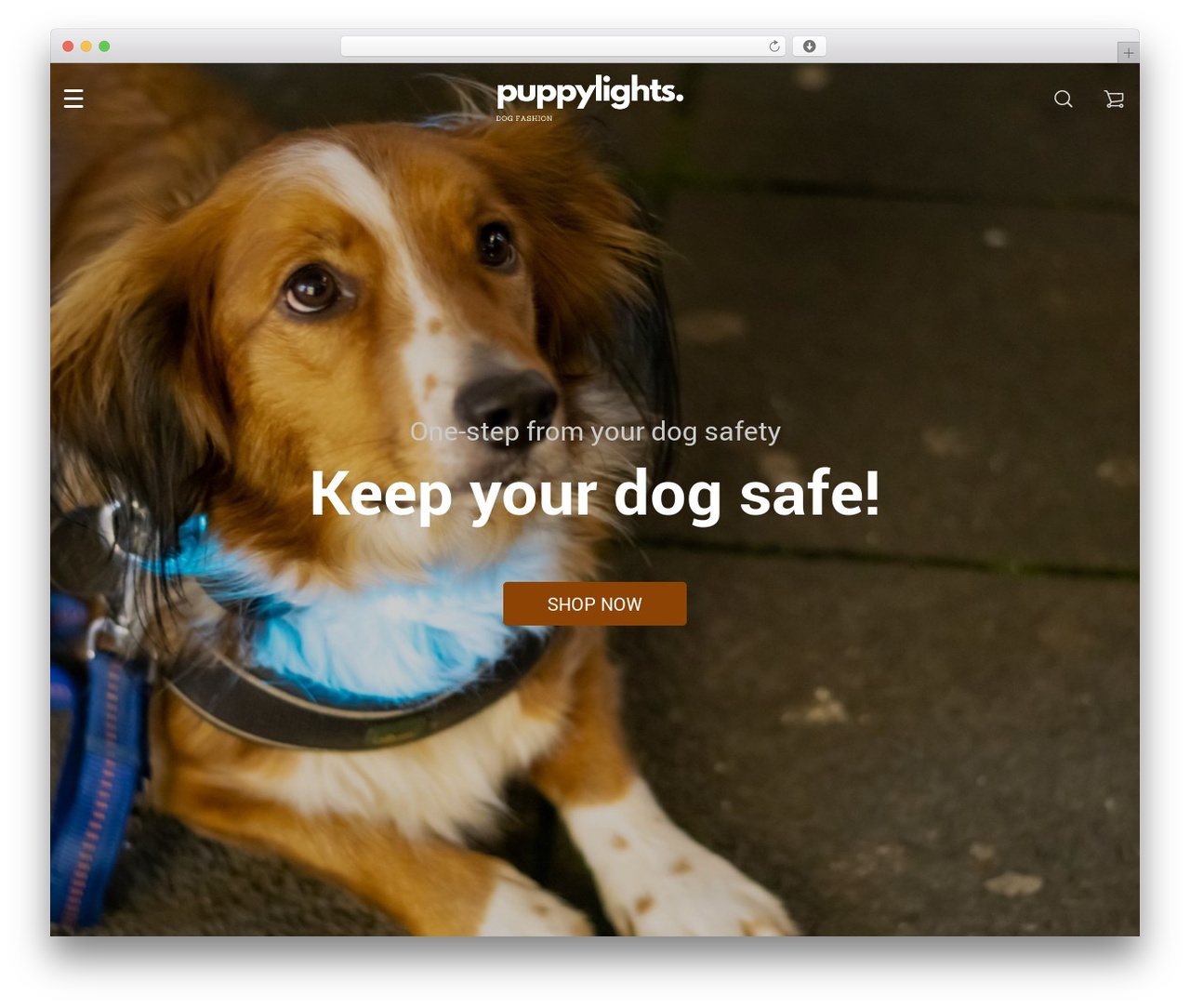 Rubens fashion WordPress theme - puppylights.com Rubens fashion WordPress theme - puppylights.com