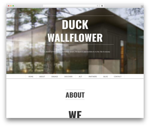 WordPress theme SCRN - duckandwallflower.com