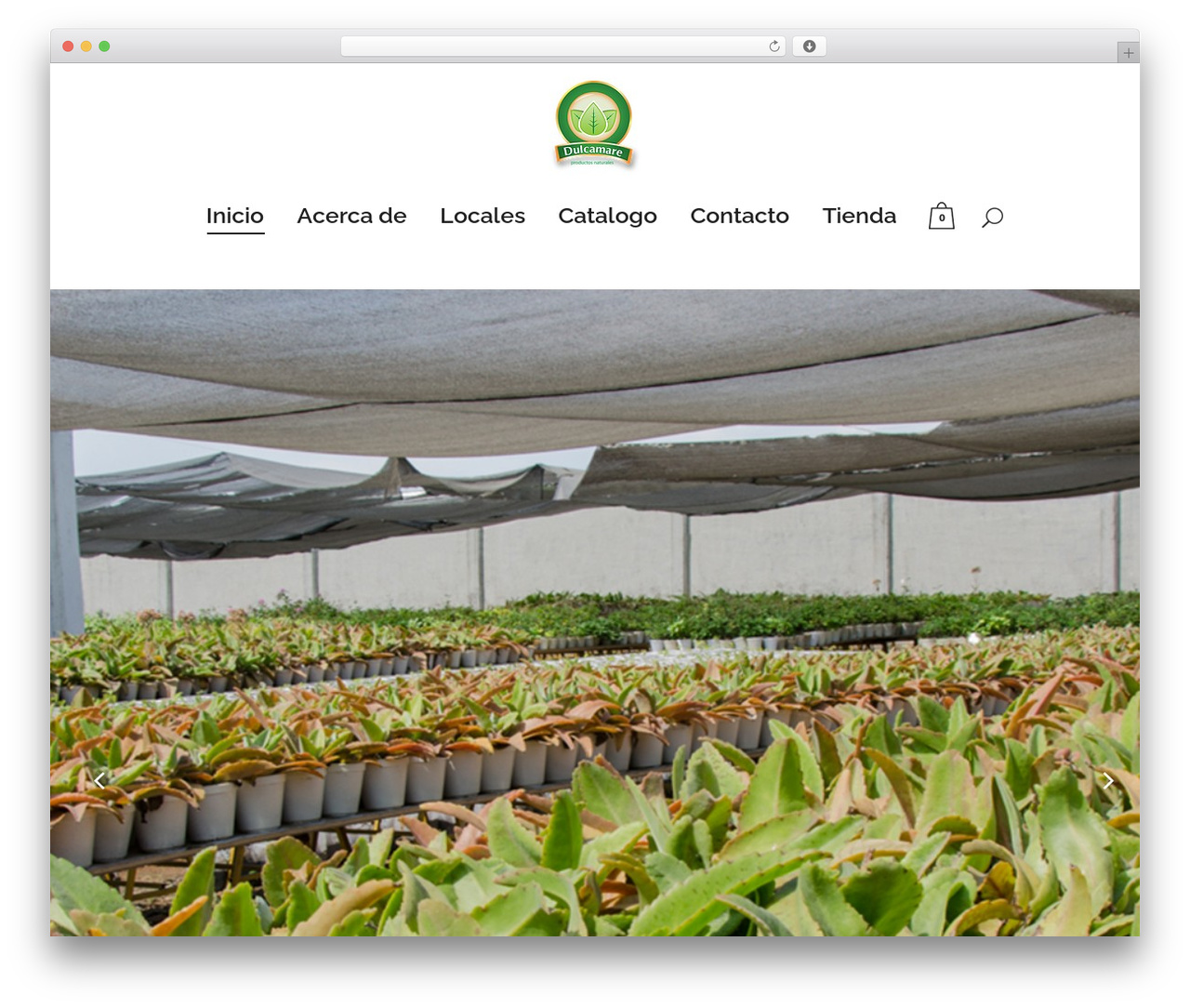 Bridge WordPress theme design - dulcamare.com Bridge WordPress theme design - dulcamare.com
