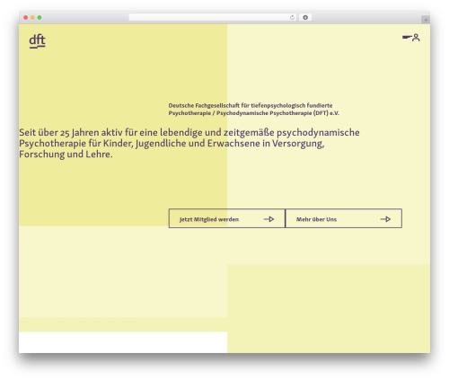 DFT THEME 2.0 WordPress theme - dft-online.de