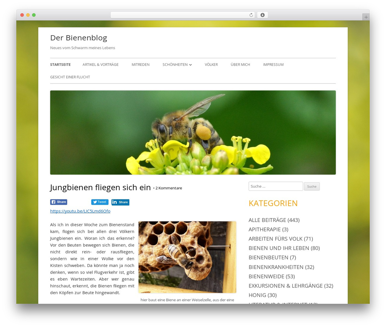 Tiny Forge WordPress blog theme - derbienenblog.de Tiny Forge WordPress blog theme - derbienenblog.de
