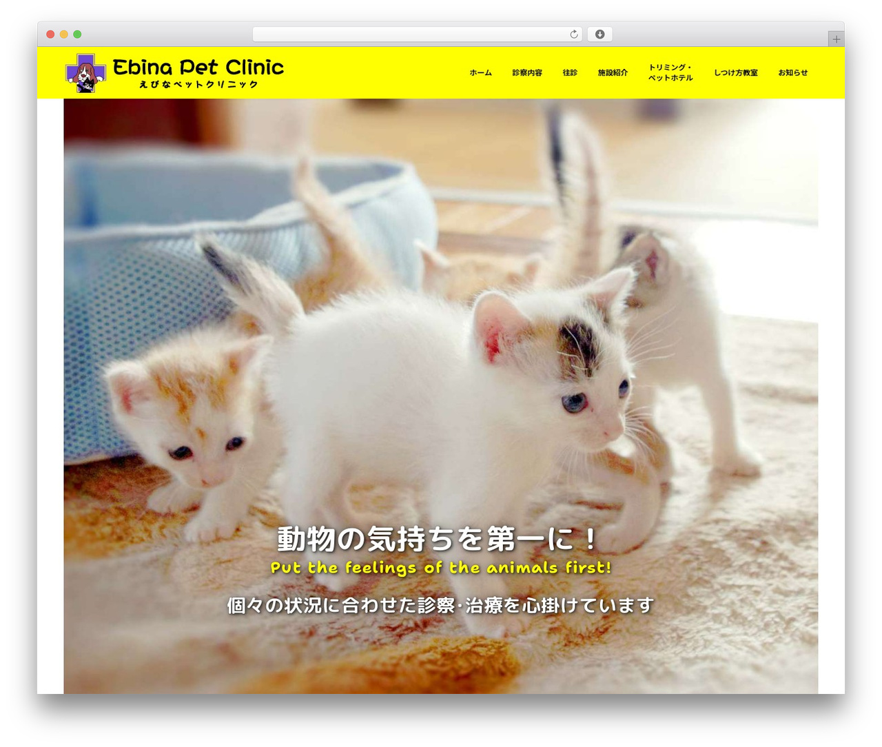 WordPress theme Custom Theme - ebina-pc.com