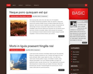 WordPress theme Basic by MarkkinointiAkatemia MAK Oy