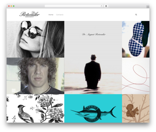 Themelovin dribbble WordPress plugin - drrotwailer.com