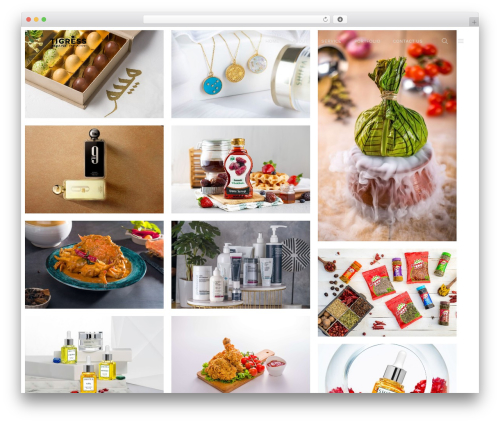 WP theme Shutter - tigressdubai.com