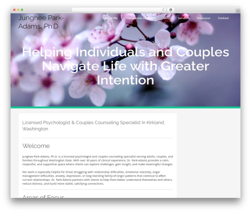 bizzy WordPress theme - drparkadams.com