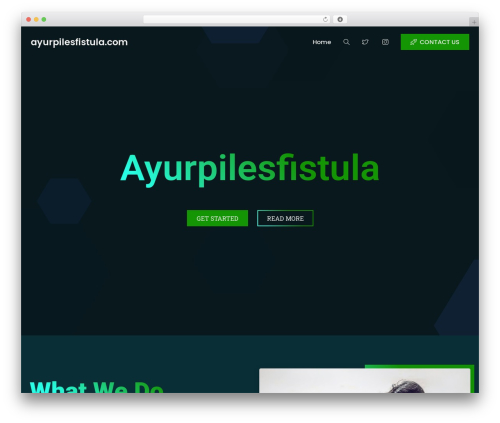 Leverage WordPress theme - ayurpilesfistula.com