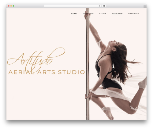 Arabesque core WordPress plugin - artitudo.com