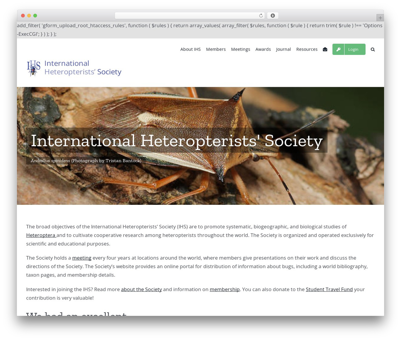 WordPress theme Avada Child - heteroptera.org WordPress theme Avada Child - heteroptera.org