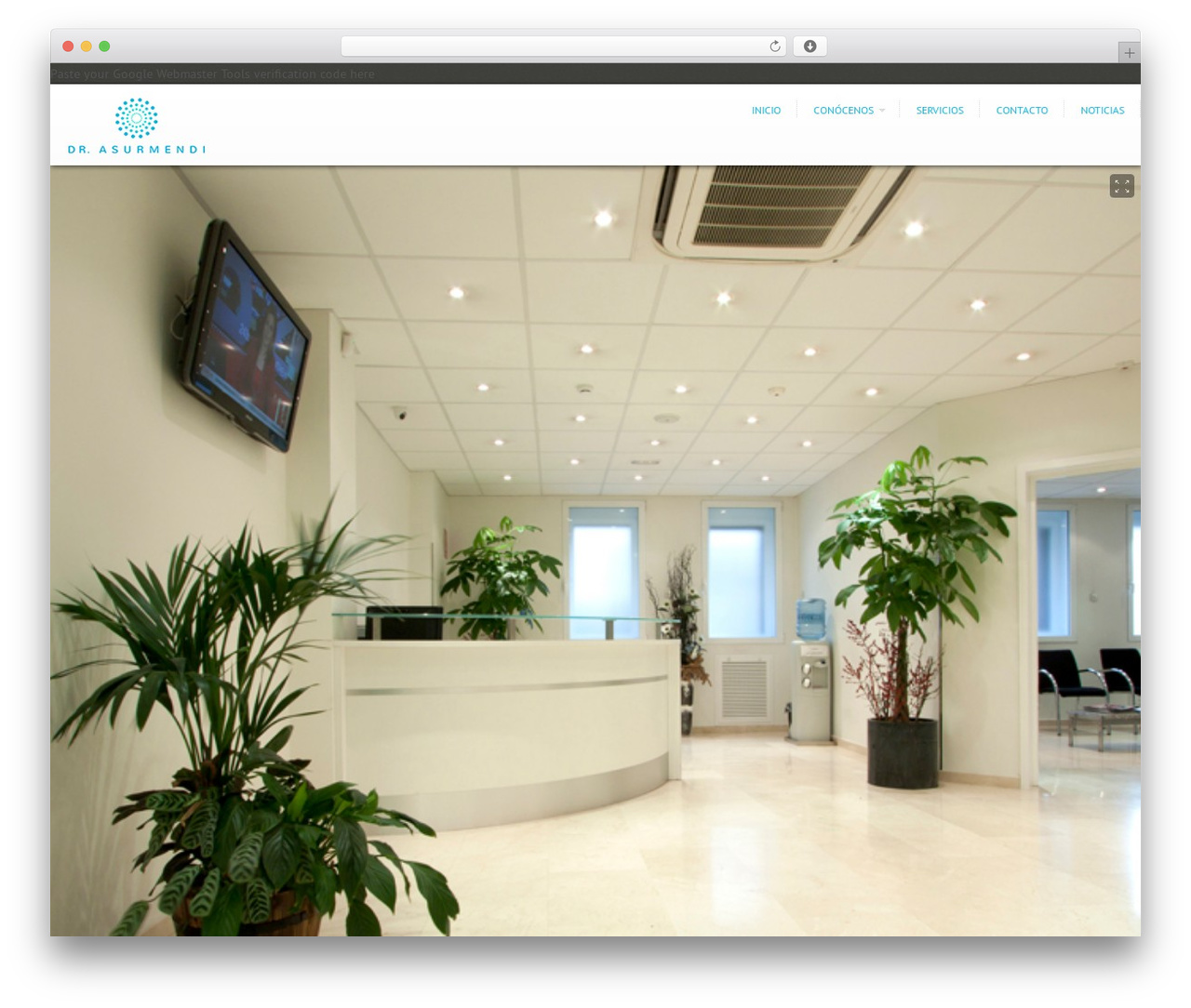 WordPress theme Expression - drasurmendi.es