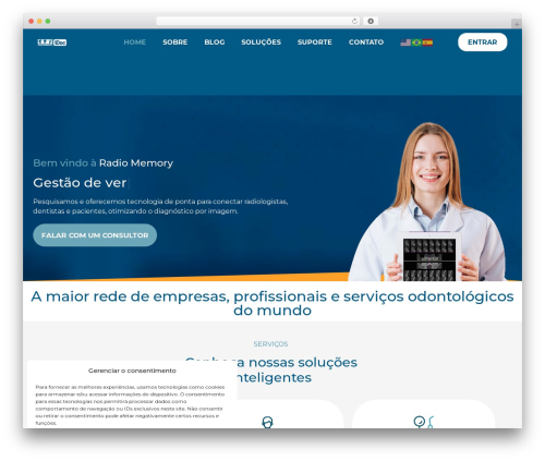 WordPress theme Hello Elementor - radiomemory.com.br