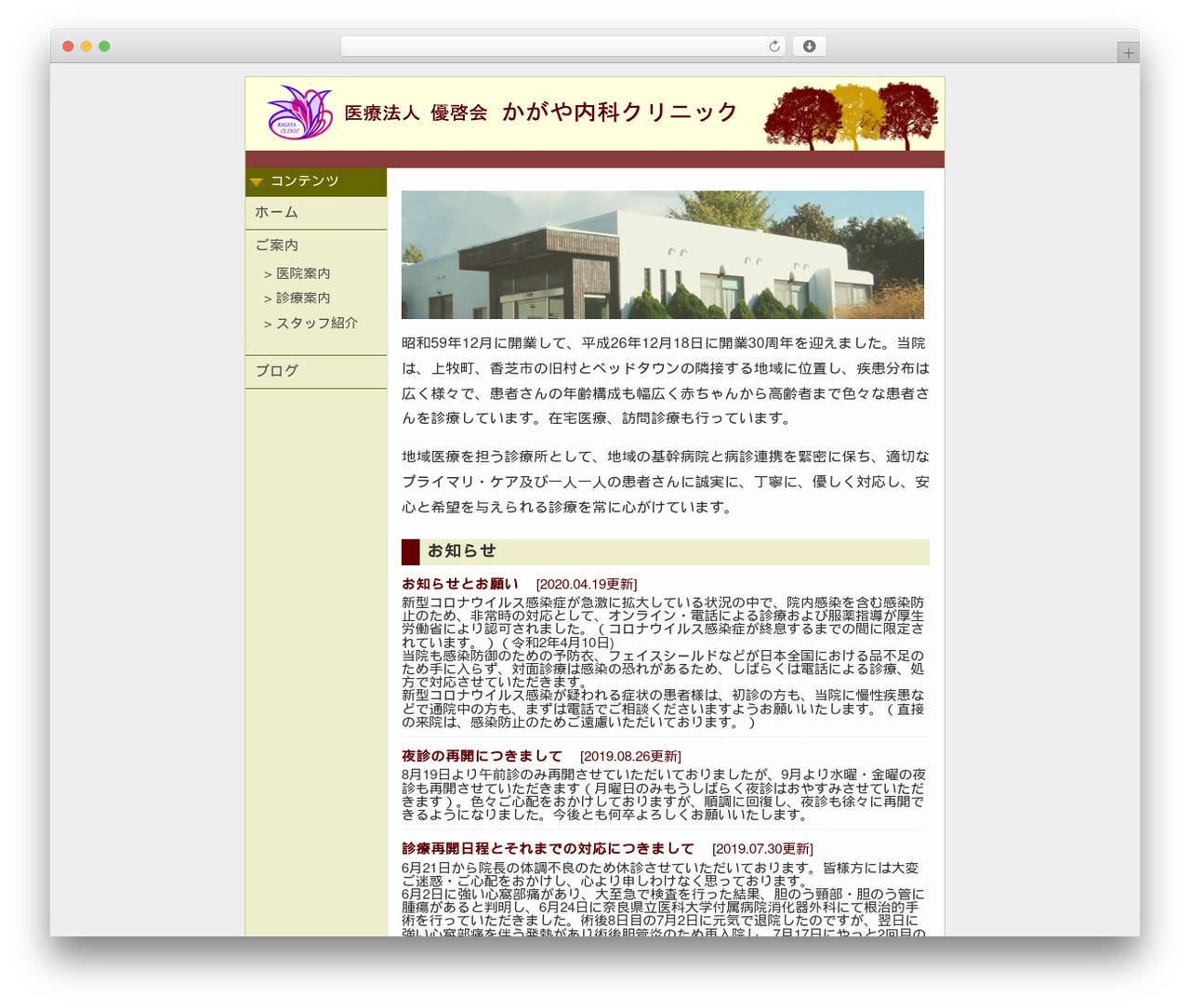 WordPress theme theme - kagayaclinic.jp