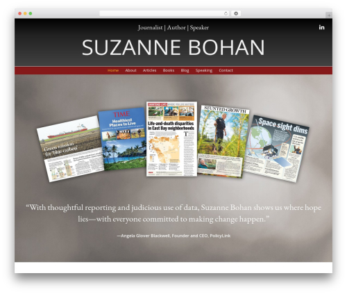 Novelist (novelist) free WordPress plugin - suzannebohan.com Novelist (novelist) free WordPress plugin - suzannebohan.com