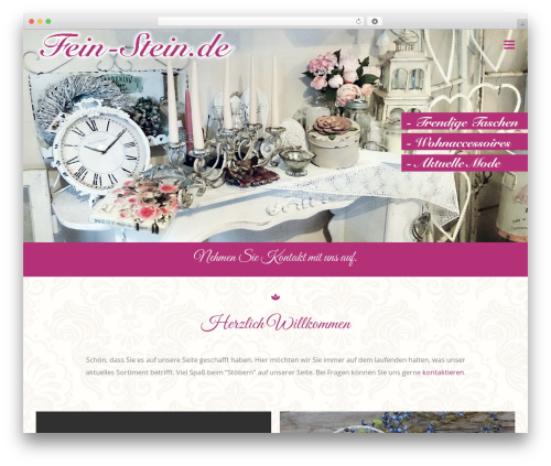Create WordPress theme - fein-stein.de