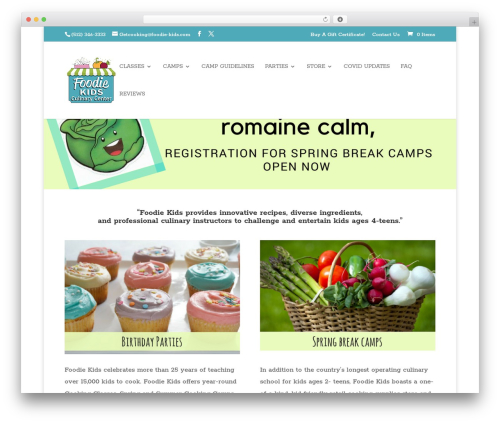 Divi WordPress template - foodie-kids.com