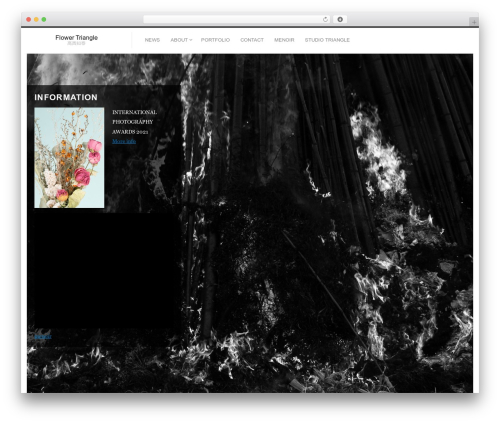 WordPress theme Fluxus - flowertriangle.com