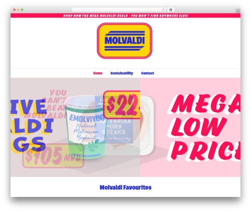 WP Store WordPress ecommerce theme - molvaldi.com