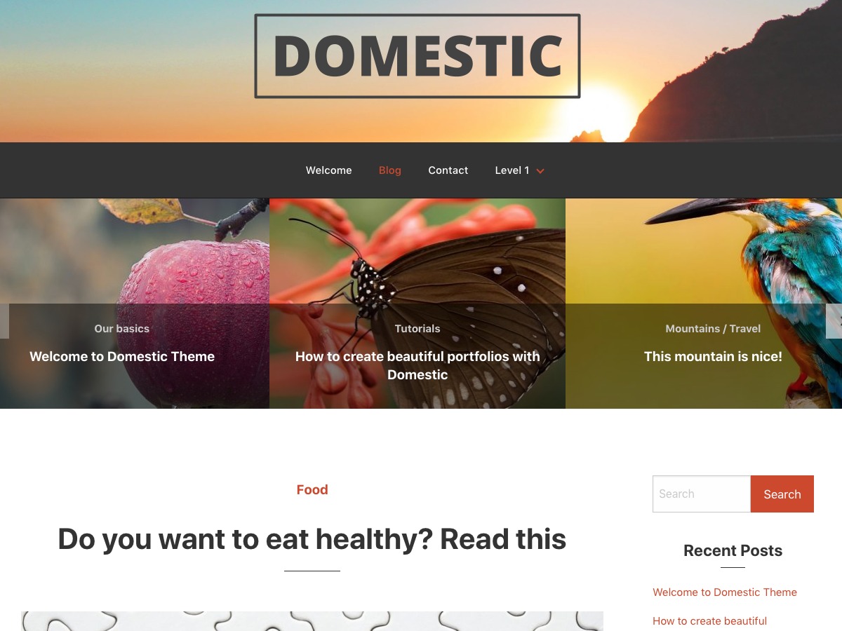 domestic premium WordPress theme