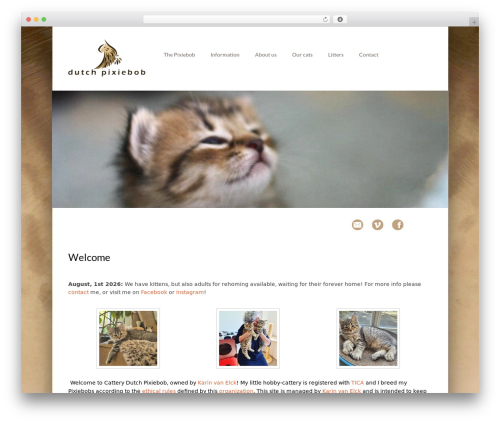 Qtranslate xt 3.16.1 WordPress plugin - dutchpixiebob.nl