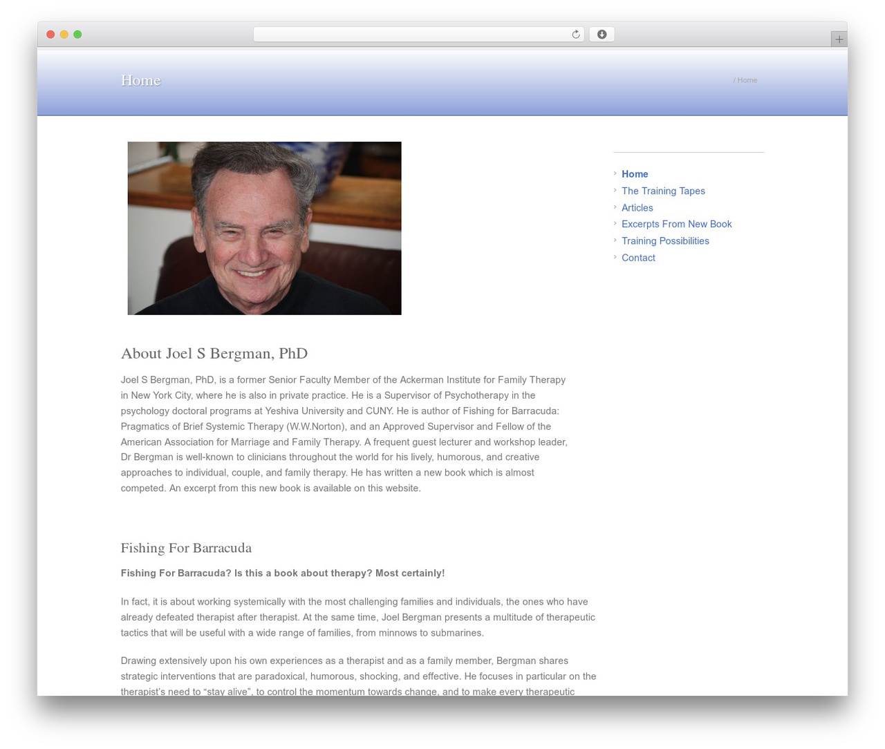 Frisco WordPress theme - drjoelbergman.com
