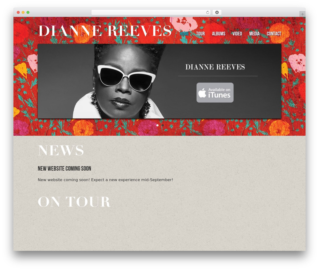 WordPress website theme Musicpro - diannereeves.com WordPress website theme Musicpro - diannereeves.com