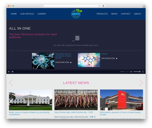 Bluemedia WordPress theme - biobridtech.com