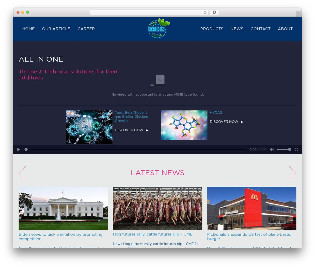 BlueMedia WordPress theme - biobridtech.com