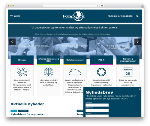 Mailster recaptcha WordPress plugin - kap-s.dk