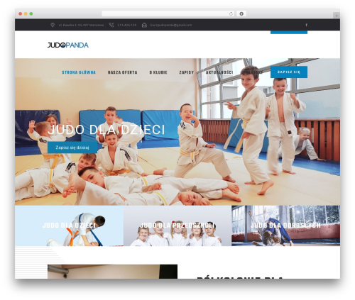 Prowess core WordPress plugin - judopanda.pl