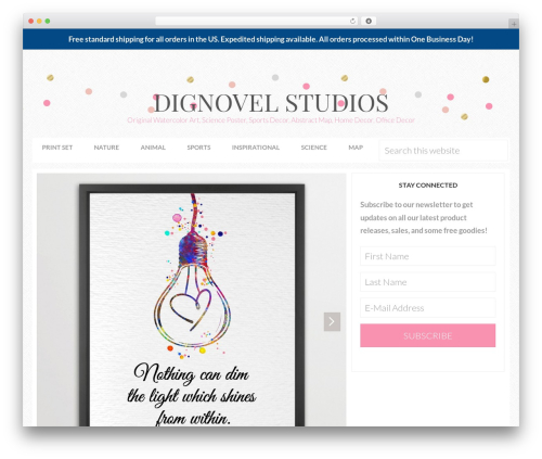 Sprinkle Theme WordPress theme - dignovel.com